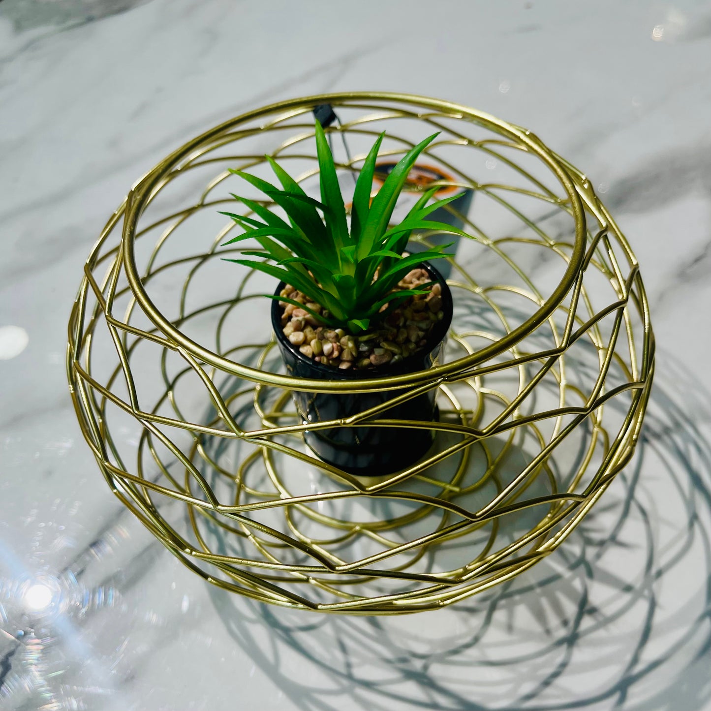 Metal Cage With Plant Holder (Large)