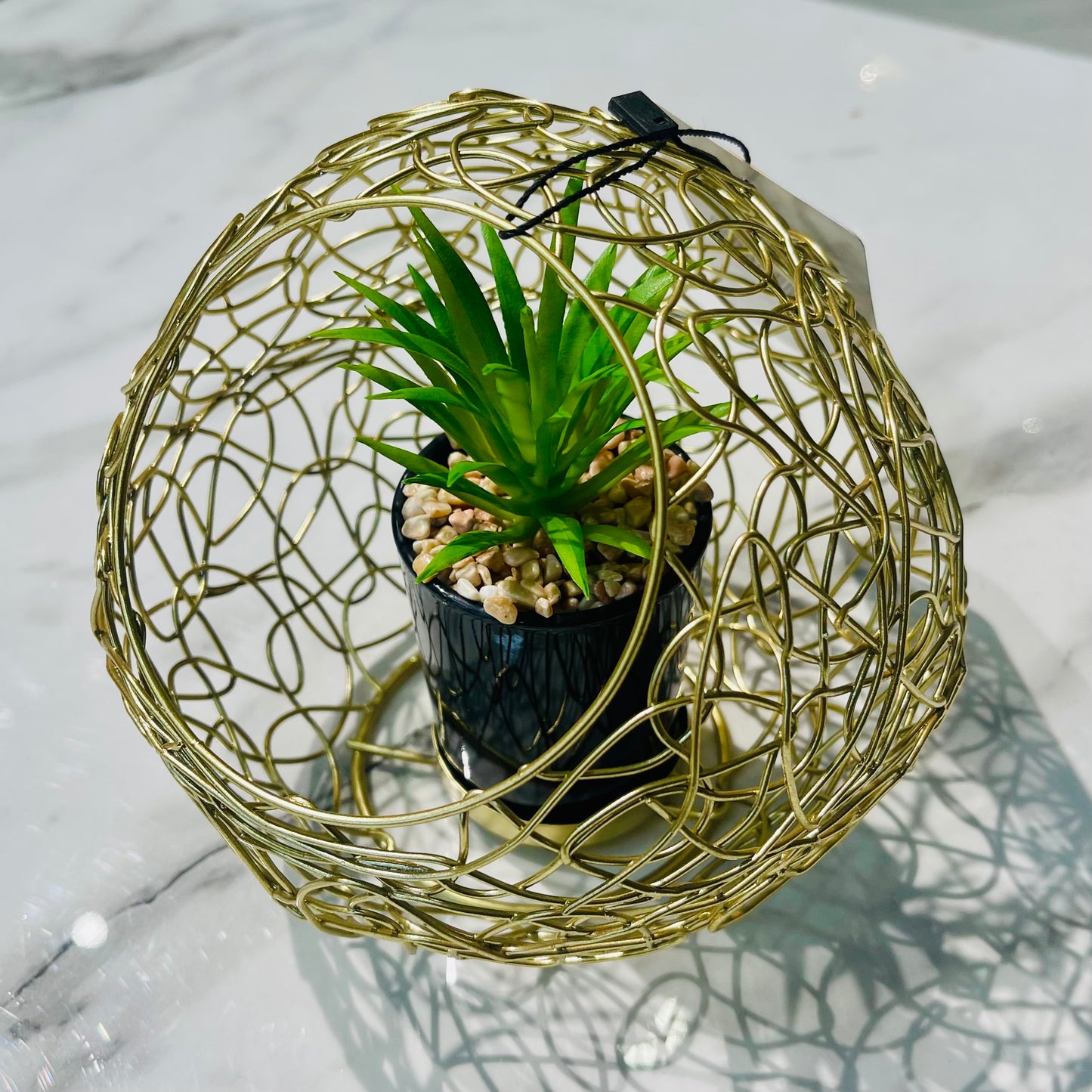 Metal Cage With Plant Holder