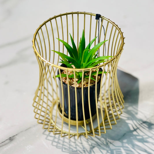 Decorative Plant Holder