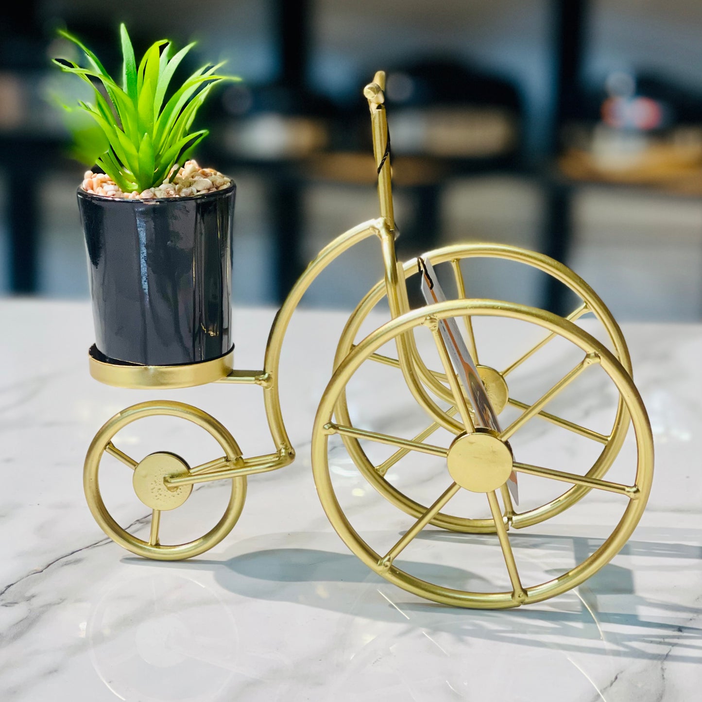 Decorative Cycle With Plant Holder