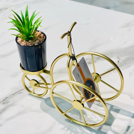 Decorative Cycle With Plant Holder