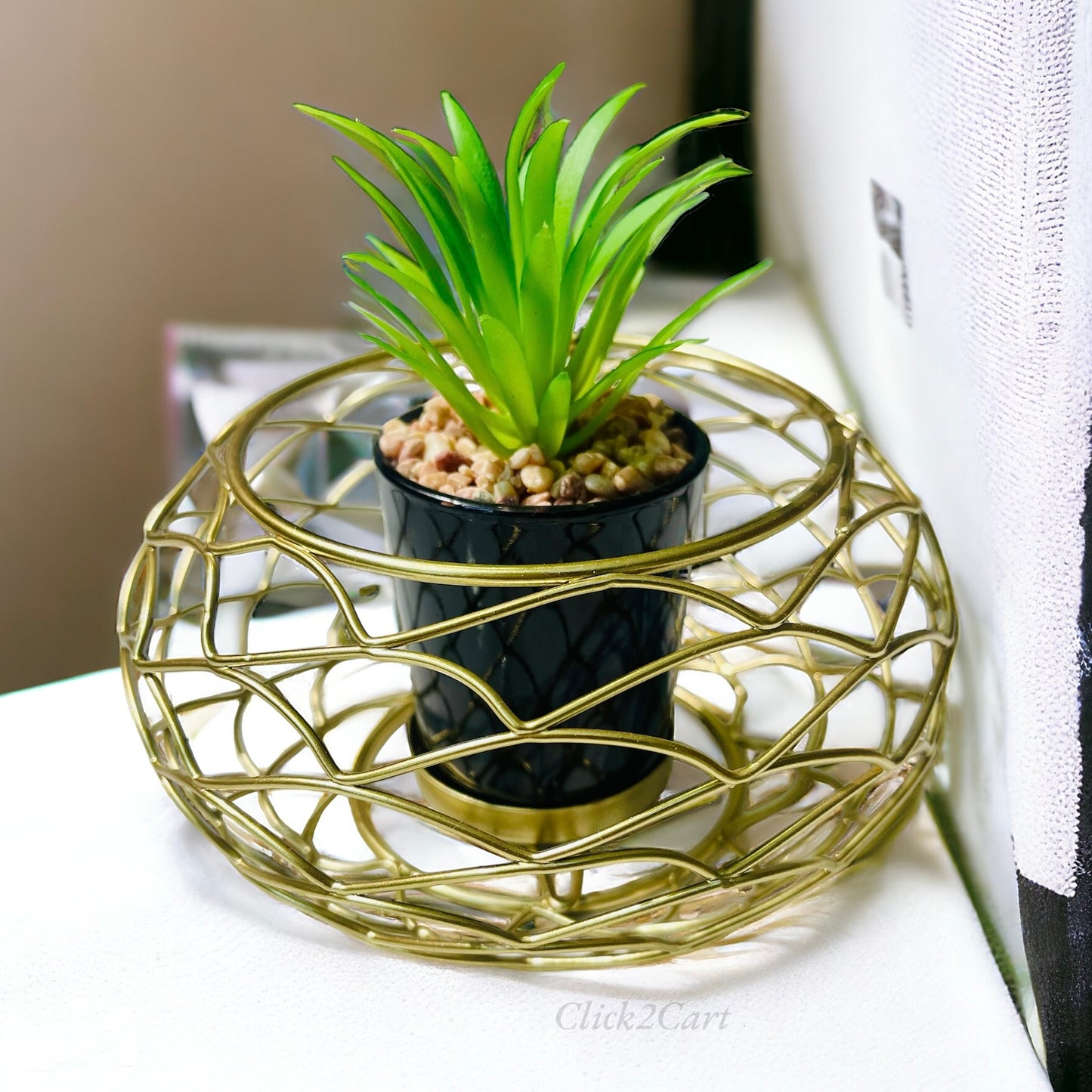 Metal Cage With Plant Holder (Small)