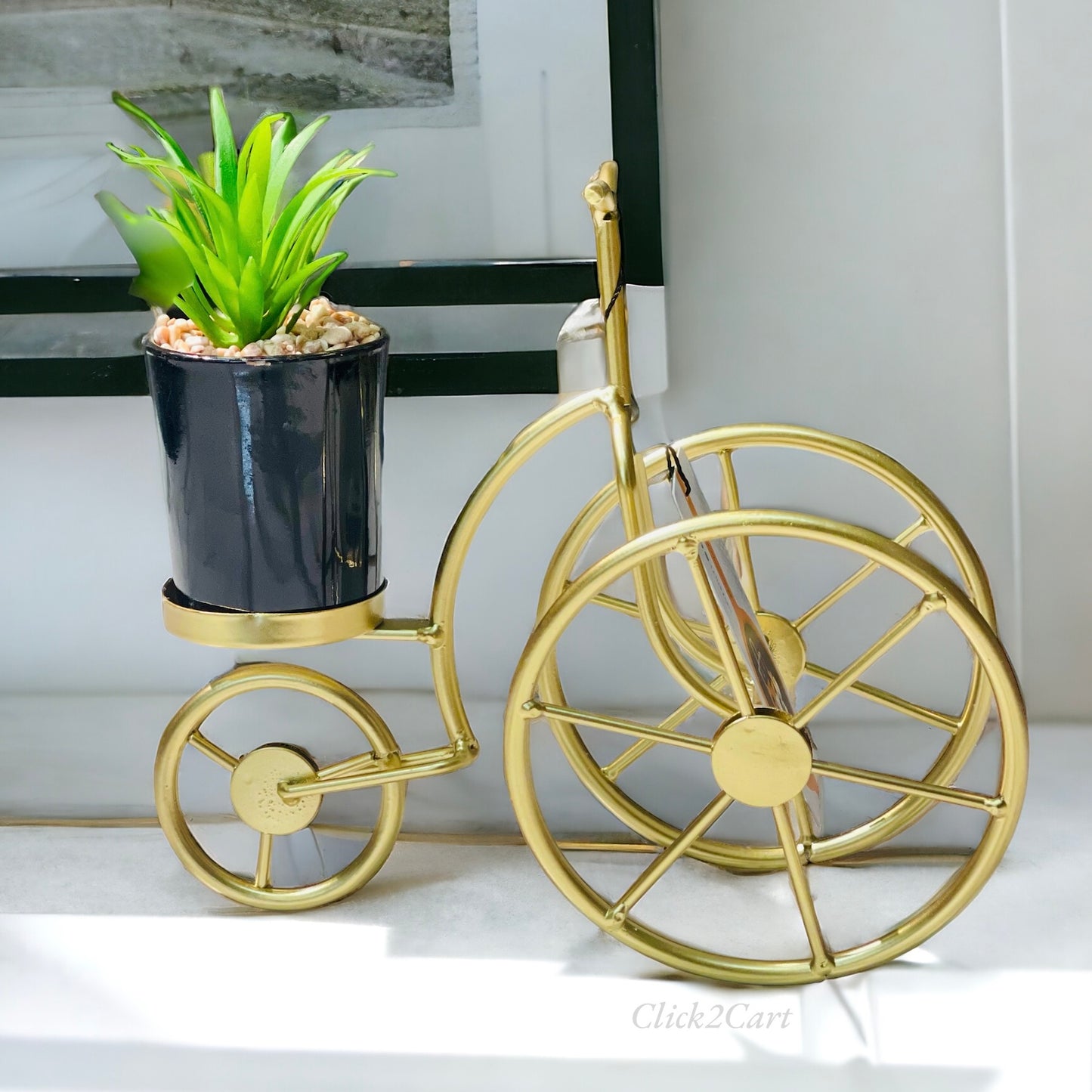 Decorative Cycle With Plant Holder