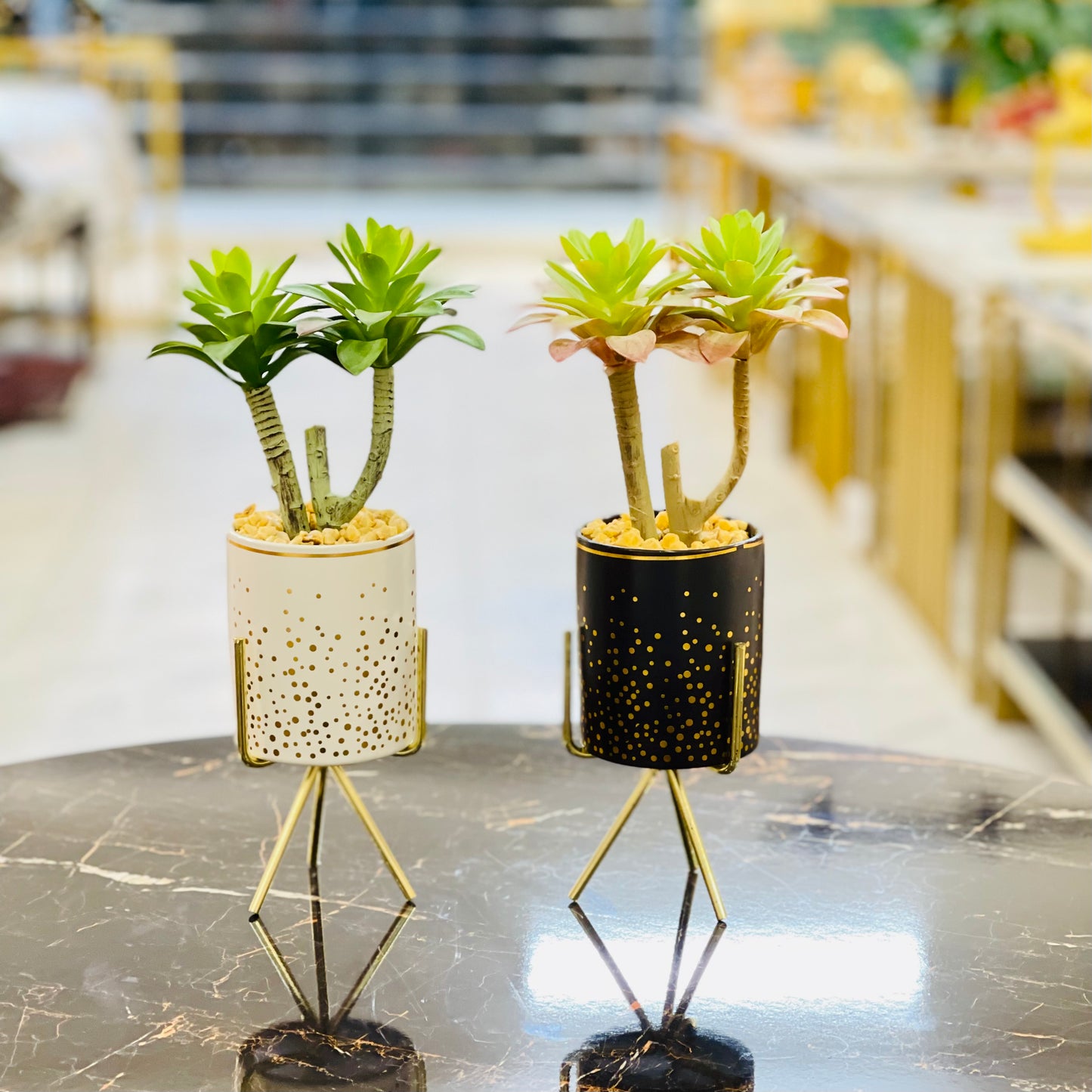 Plant With Metal Stand