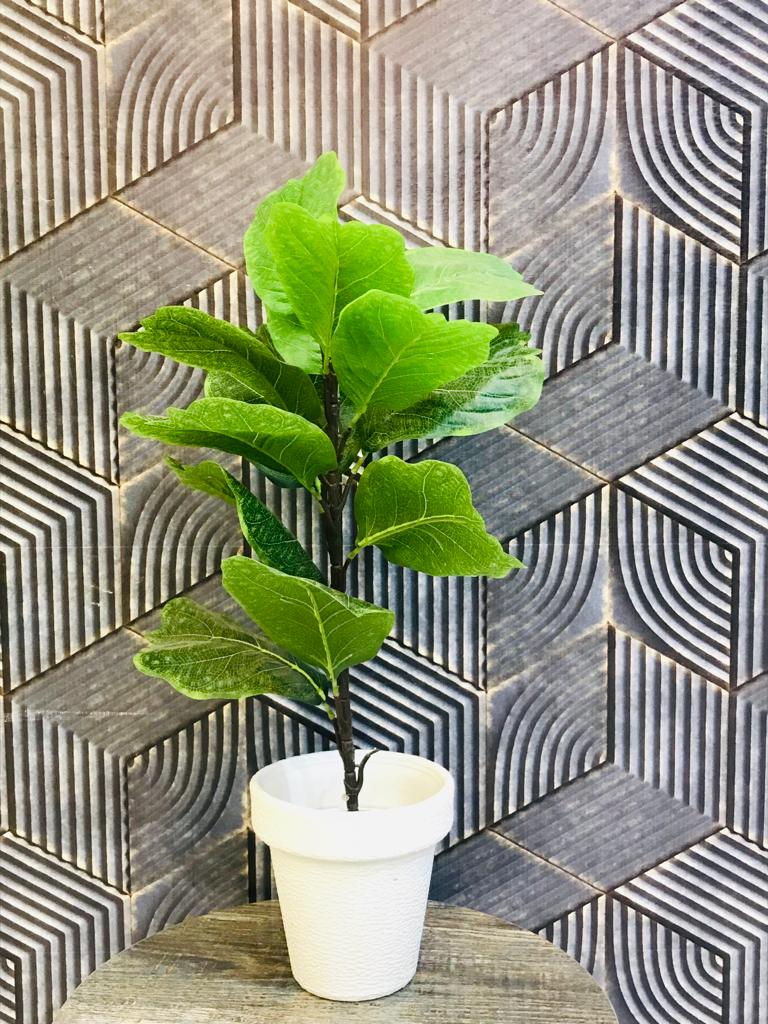 Ficus Lyrata Bambino Artificial Plant