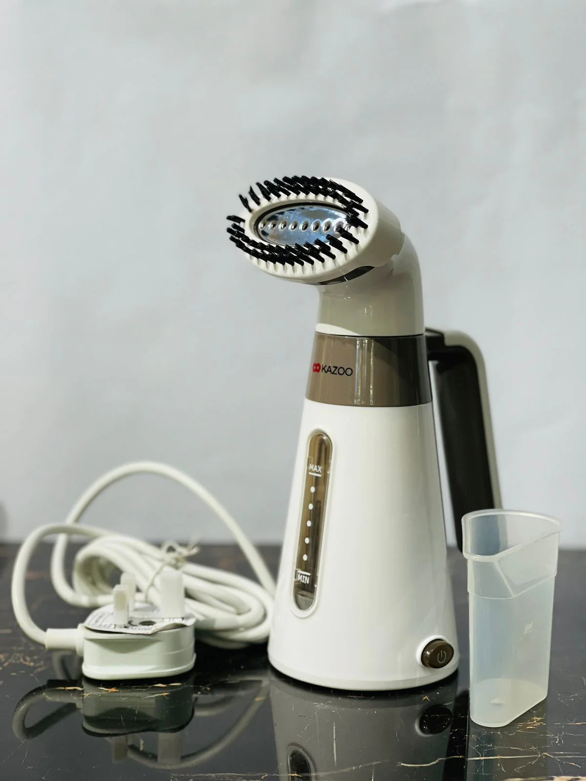 Professional Garment Steamer