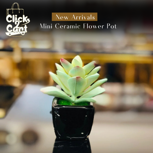 Mini Ceramic Flower Pot